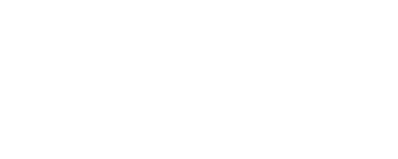 Visunice Logo